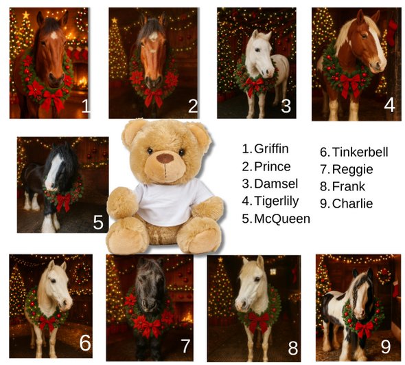 Personalised Ashdown Christmas Bear in a T-Shirt