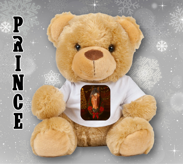 Personalised Ashdown Christmas Bear in a T-Shirt