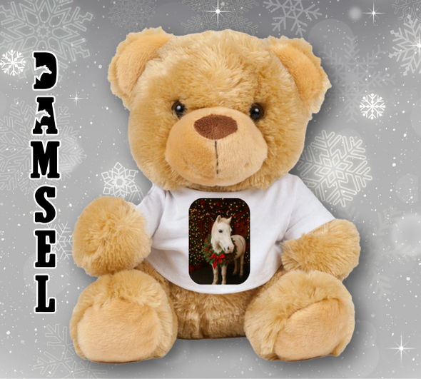 Personalised Ashdown Christmas Bear in a T-Shirt