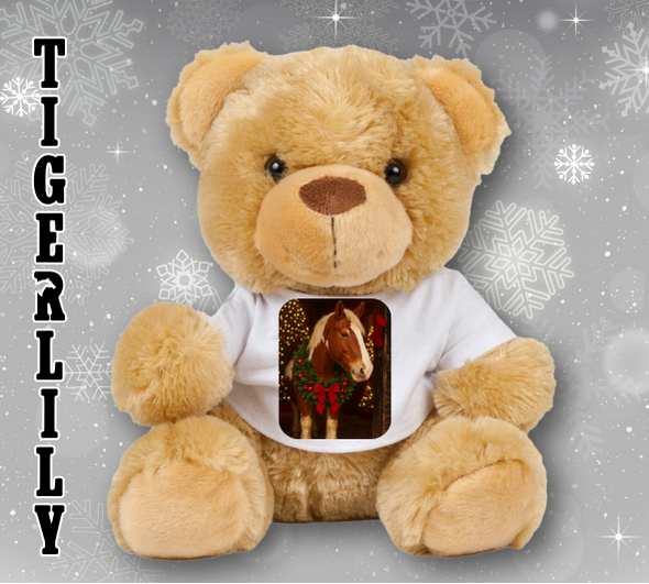 Personalised Ashdown Christmas Bear in a T-Shirt