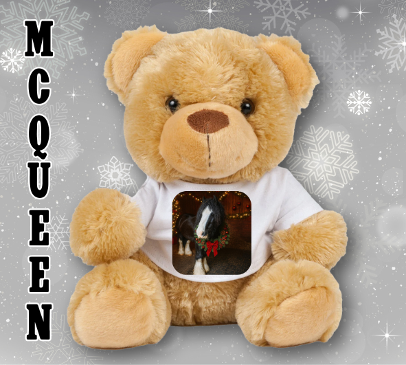 Personalised Ashdown Christmas Bear in a T-Shirt