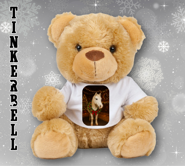 Personalised Ashdown Christmas Bear in a T-Shirt