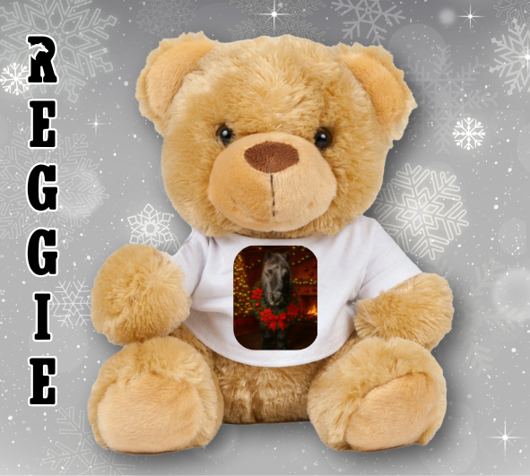 Personalised Ashdown Christmas Bear in a T-Shirt