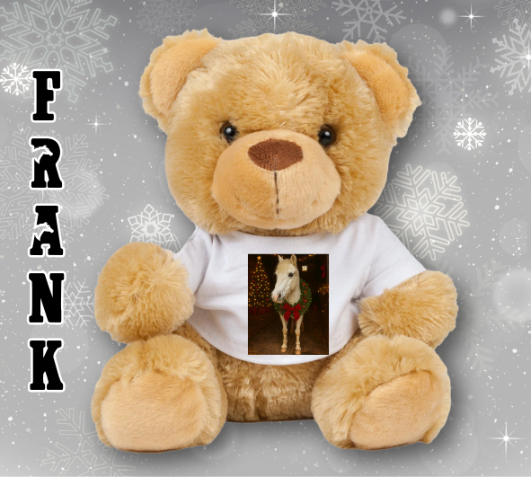 Personalised Ashdown Christmas Bear in a T-Shirt