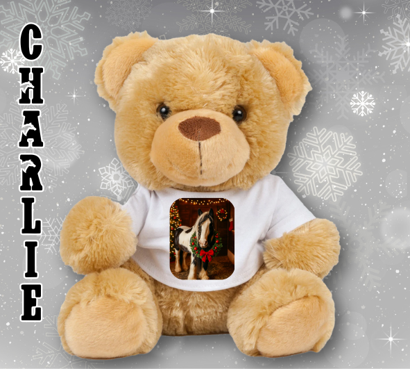 Personalised Ashdown Christmas Bear in a T-Shirt