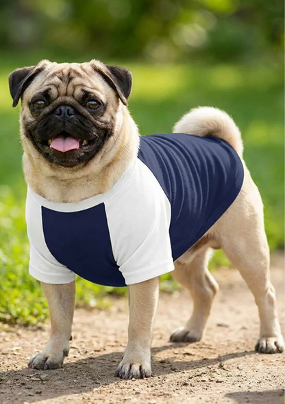 A pug dog wearing a white and navy blue shirt, standing on a dirt path surrounded by greenery.