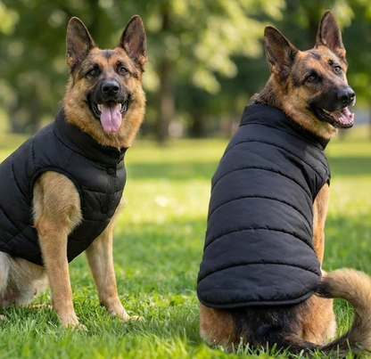 Dog's Puffer