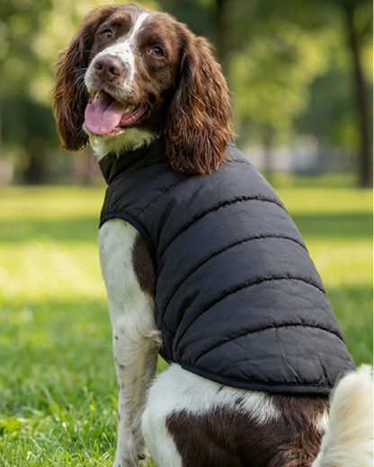 Dog's Puffer