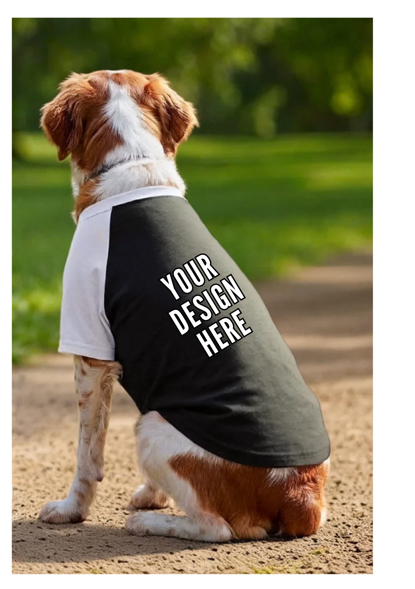 Dog Baseball Tee – The Ultimate “Good Vibes Only” Pup Fit