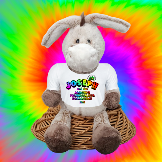 Joseph and the Amazing Technicolour Dreamcoat Donkey Plush Teddy – With Personalised T-Shirt Featuring School Logo