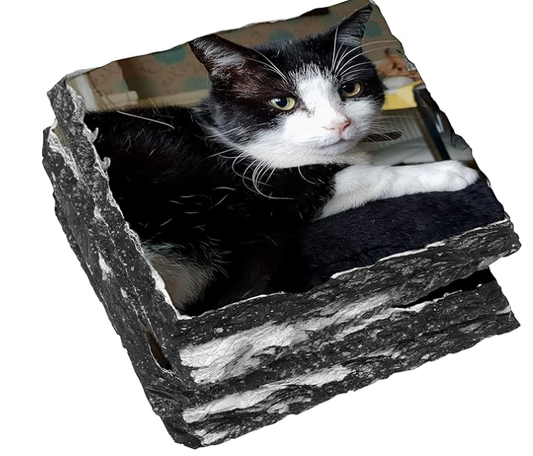 Personalised Slate Coaster – Custom Design & Text
